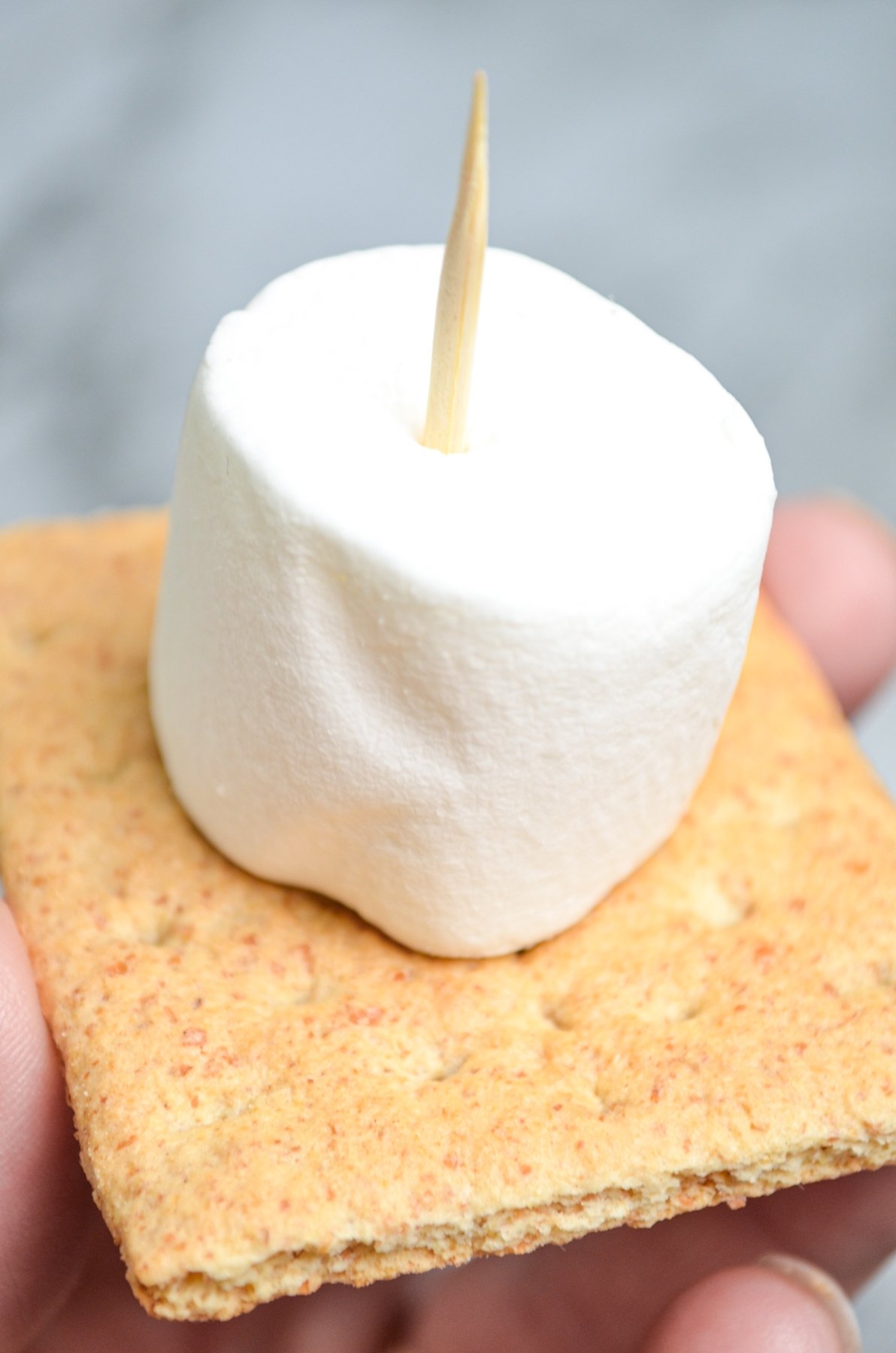 A graham cracker speared with a toothpick and a marshmallow.