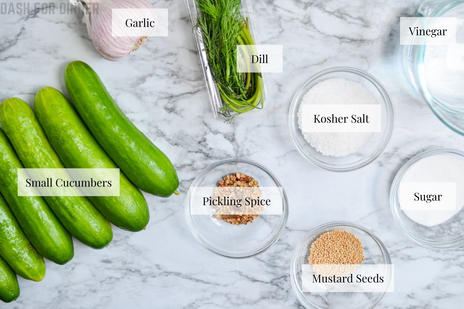 ingredients needed to make Instant Pot Refrigerator Pickles
