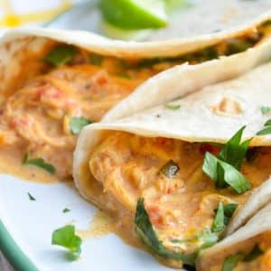 A shredded chicken and queso filling inside of a flour tortilla.