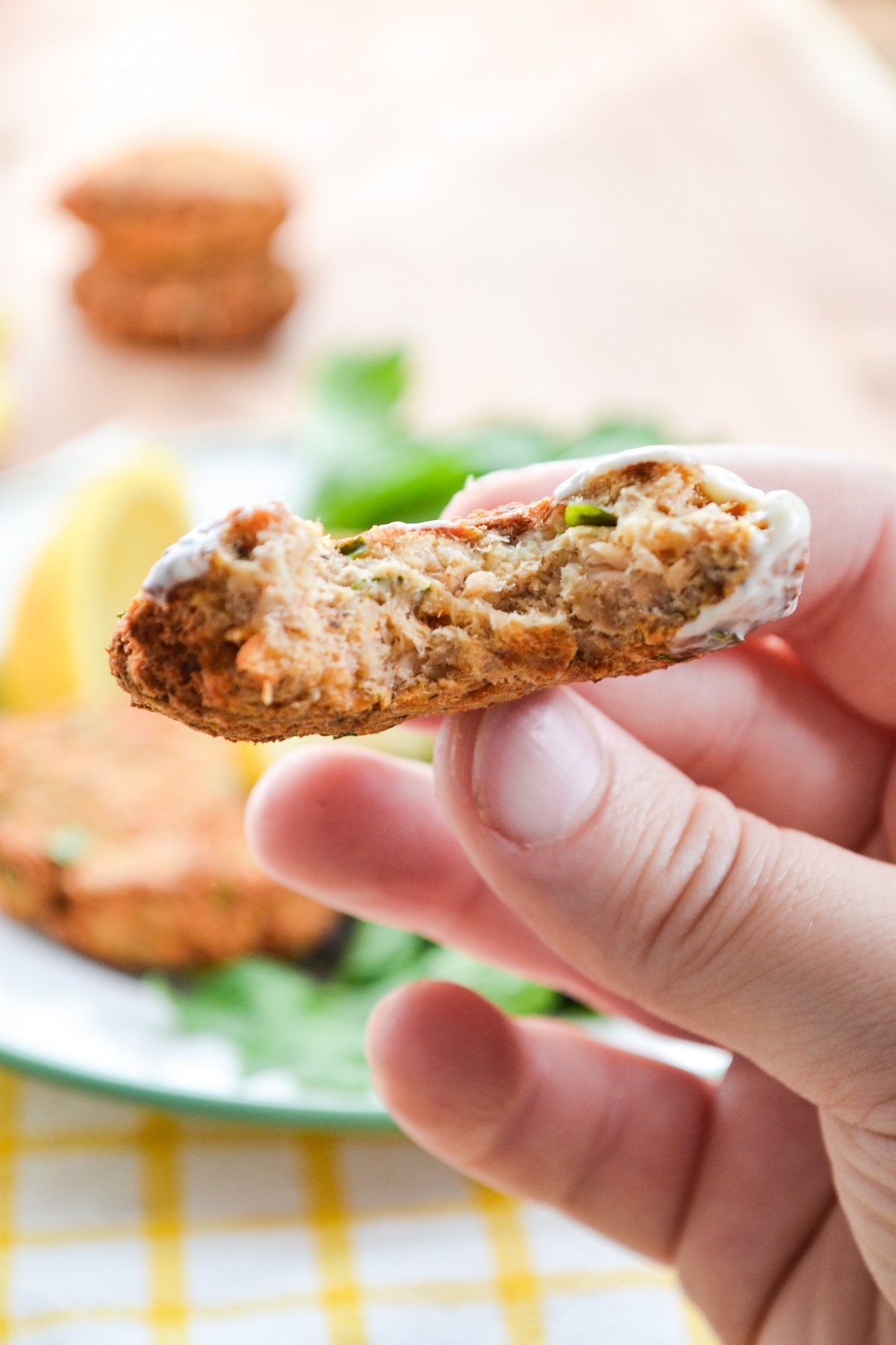 A salmon patty with a bite taken out of it.