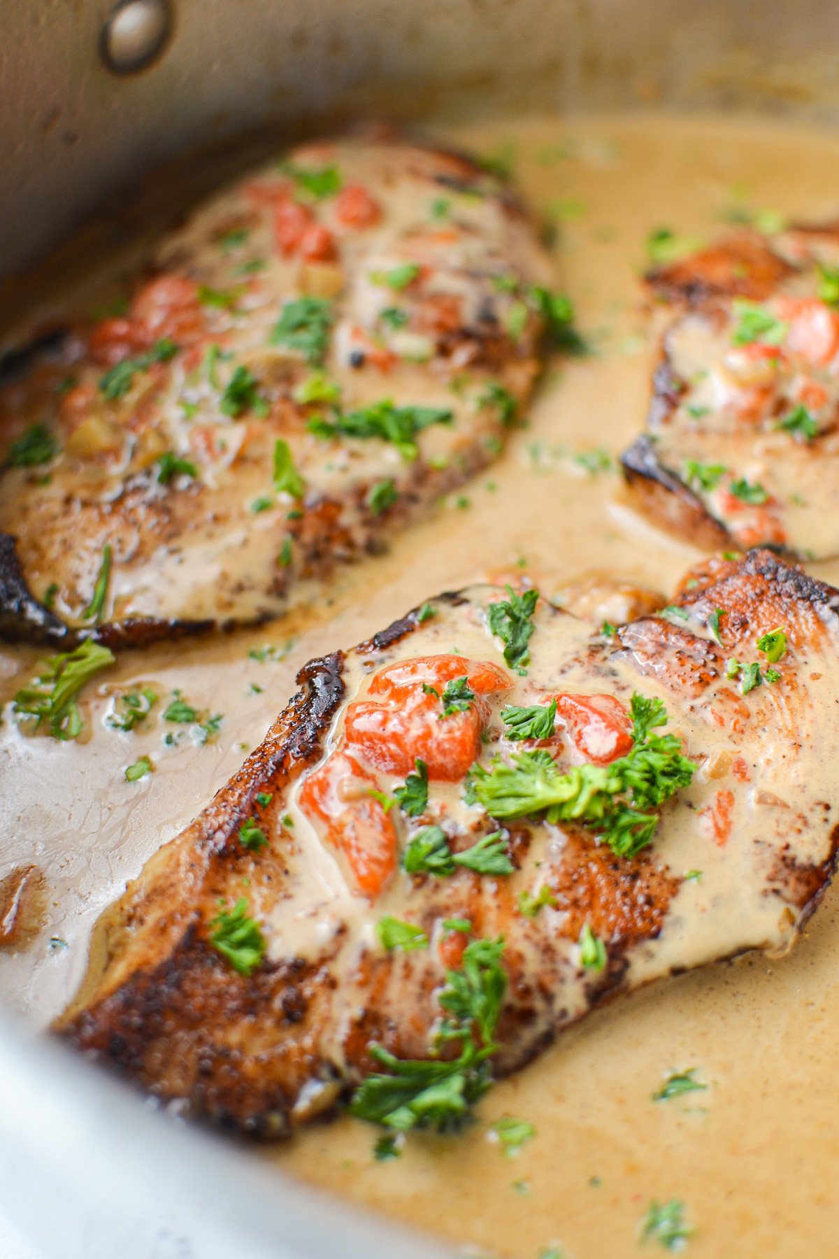 A close up of a chicken breast, covered with cream sauce.