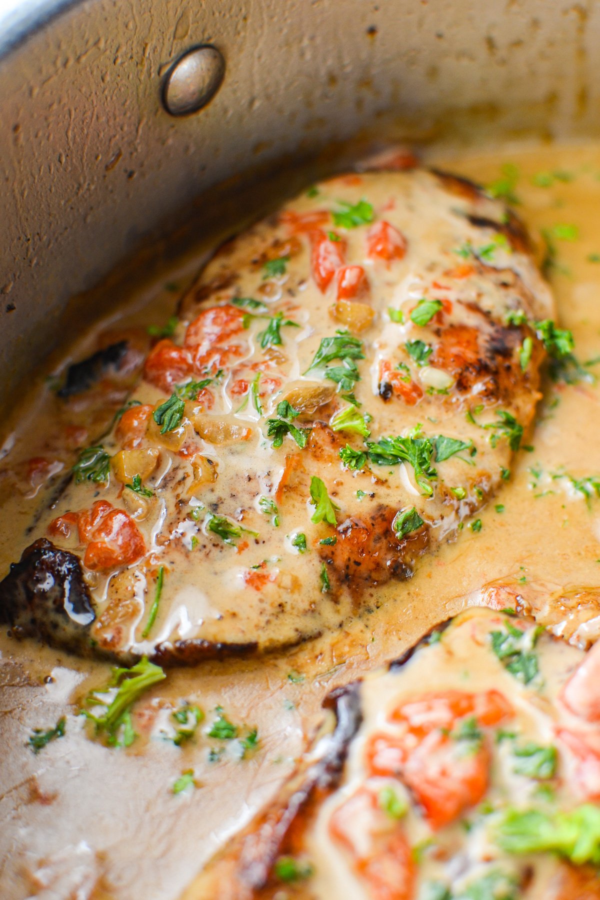 A close up of a chicken breast coated in a cream sauce and garnished with parsley.