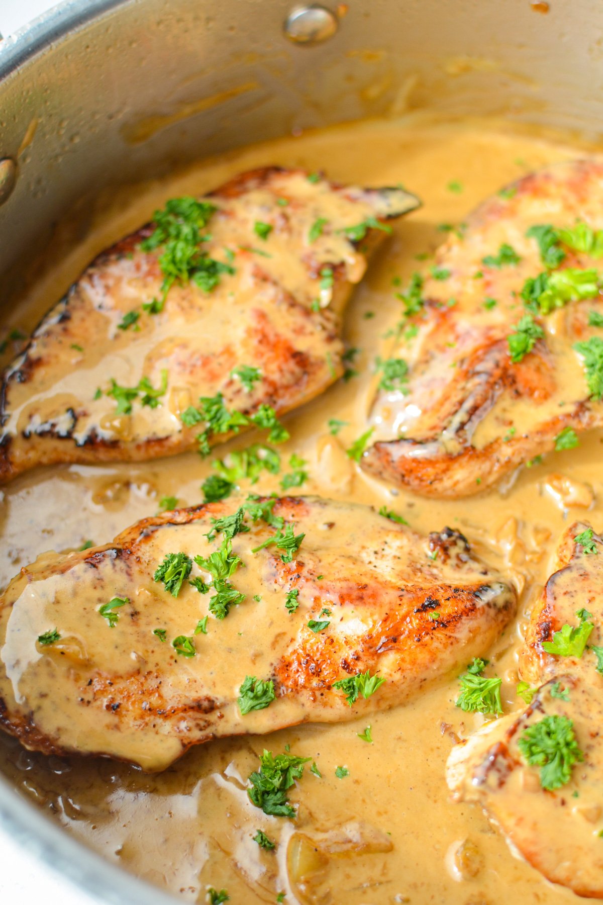 A close up of chicken breasts that have been cooked in a creamy garlic sauce.