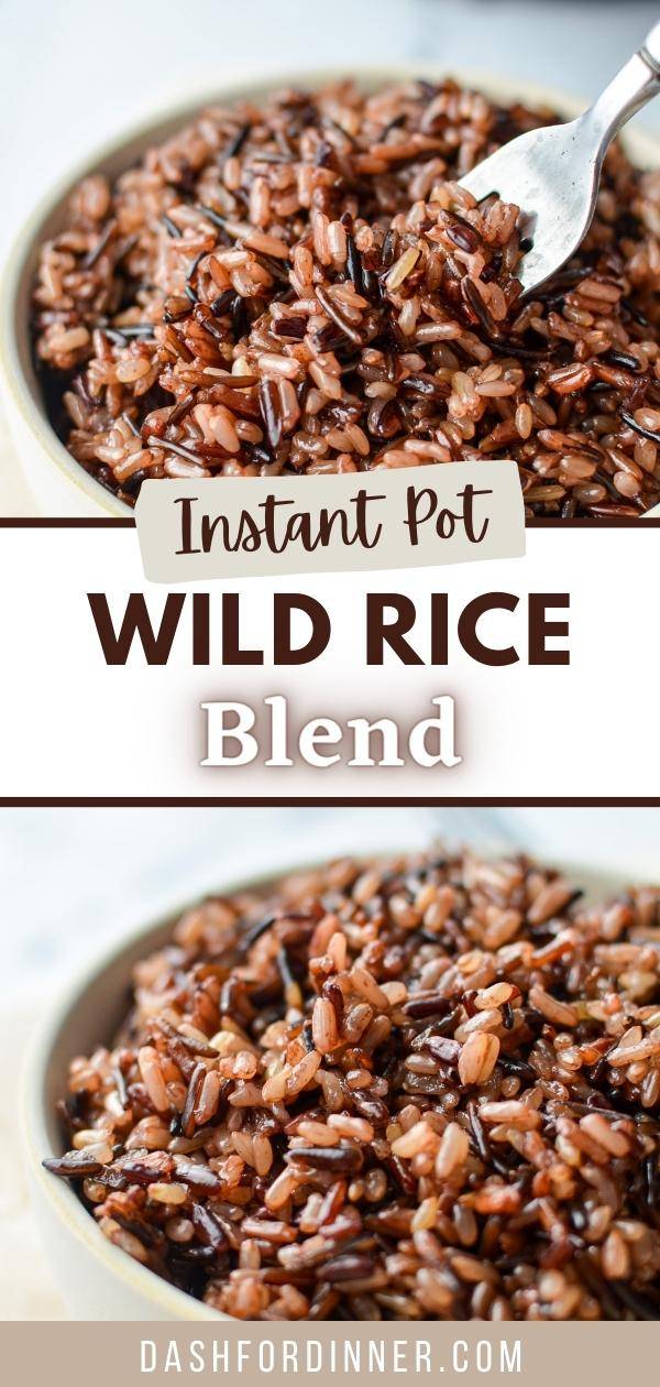 Instant Pot Wild Rice Blend Dash for Dinner