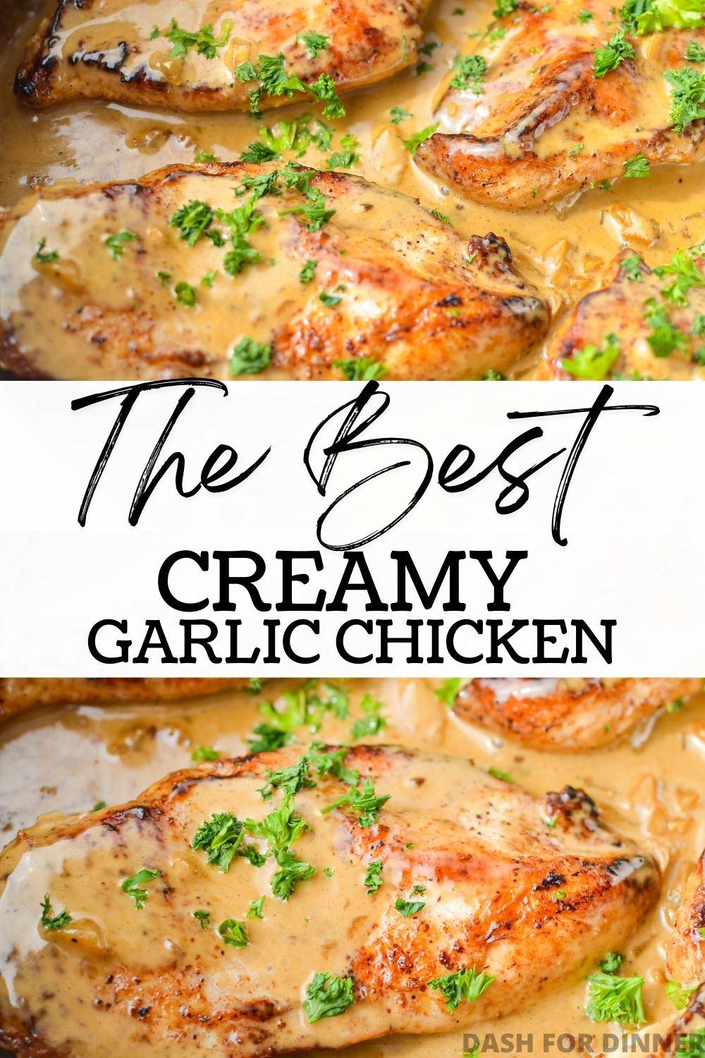 One Pan Creamy Garlic Chicken - Dash for Dinner