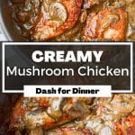 Chicken breasts covered in a creamy mushroom sauce.