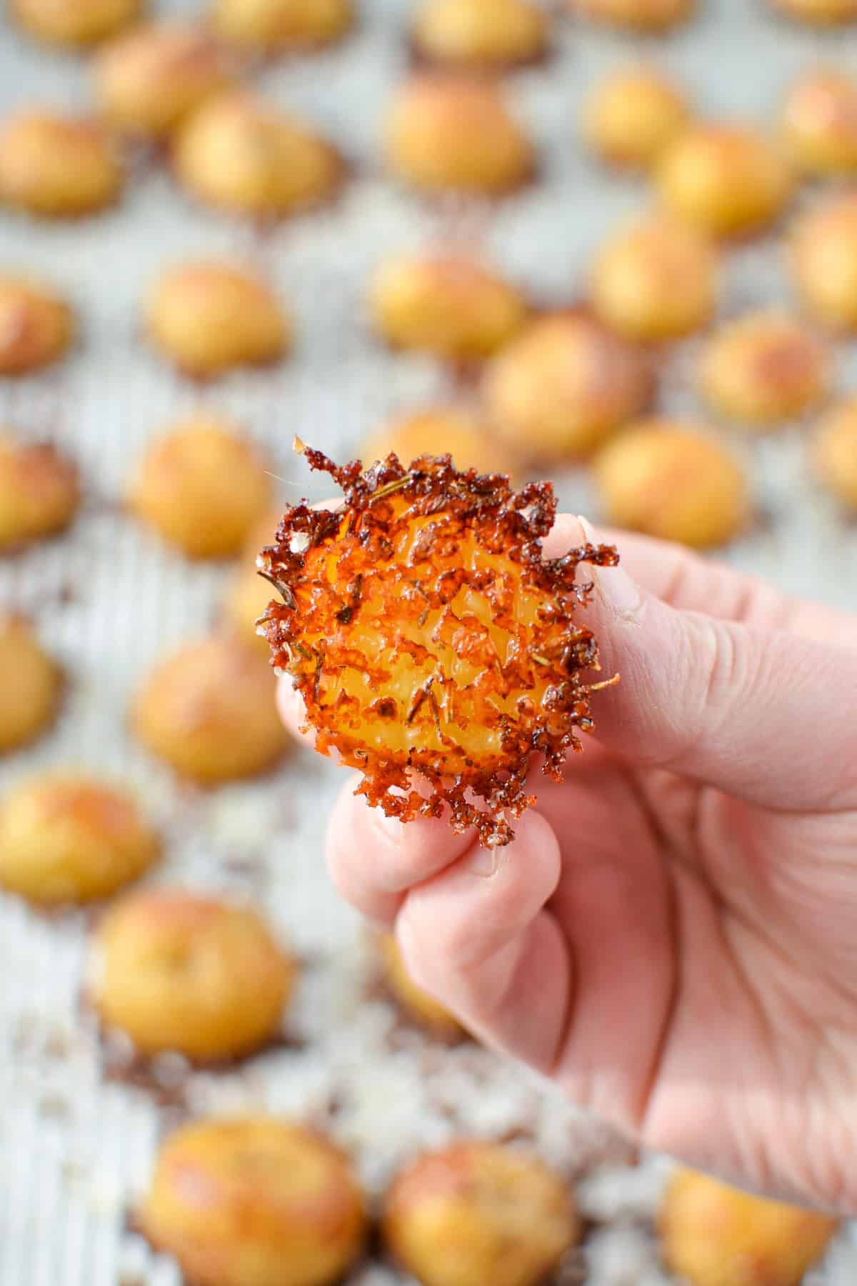 A hand holding up a parmesan encrusted potato.