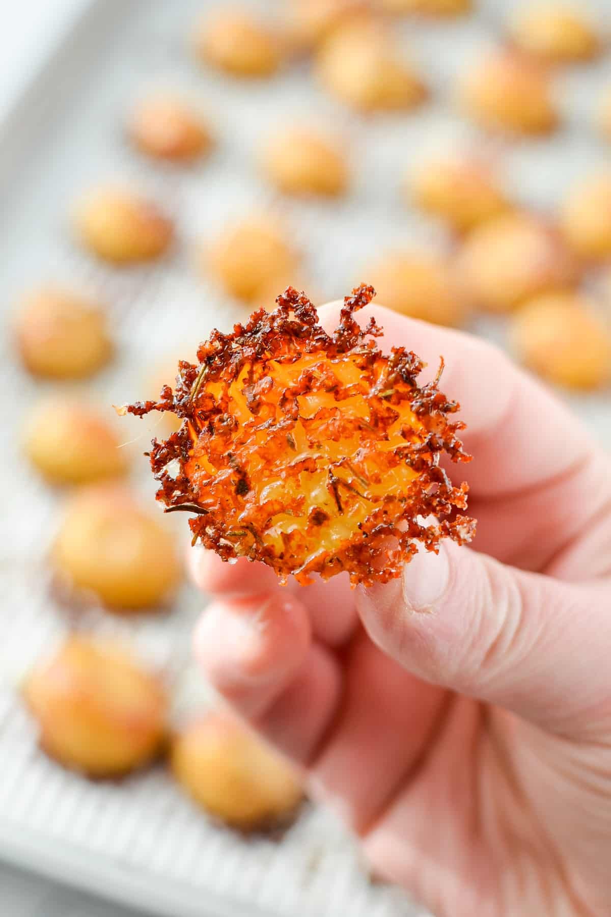A halved baby potato encrusted with parmesan cheese.
