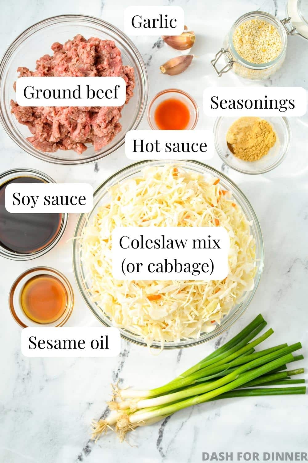 The ingredients needed to make inside out egg roll: cabbage, ground meat, and seasonings.