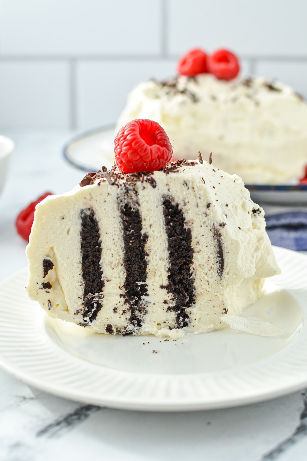 A slice of Zebra Cake garnished with a fresh raspberry on top.