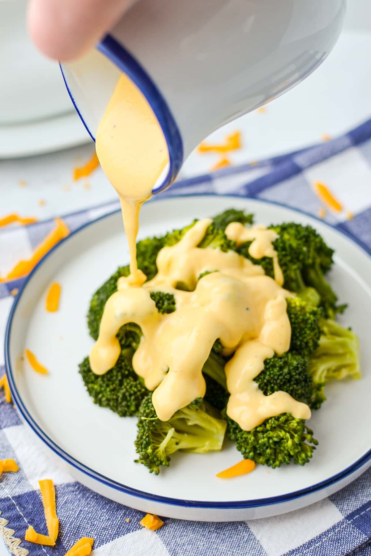 Mom's Homemade Cheese Sauce Recipe - Dash for Dinner