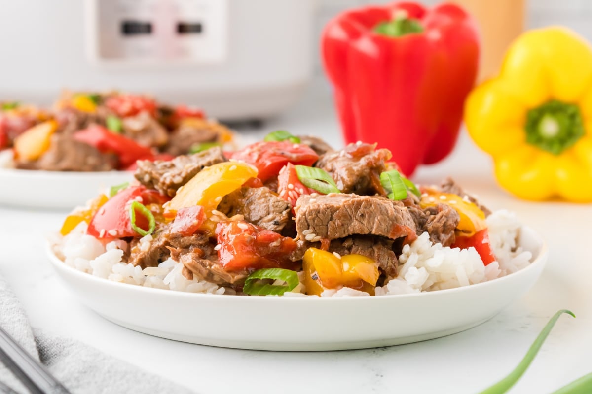 A bowl with peppers and beef.