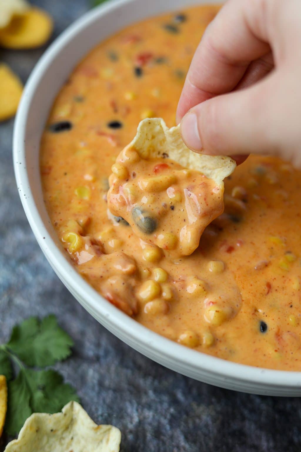 Easy Southwest Dip Recipe