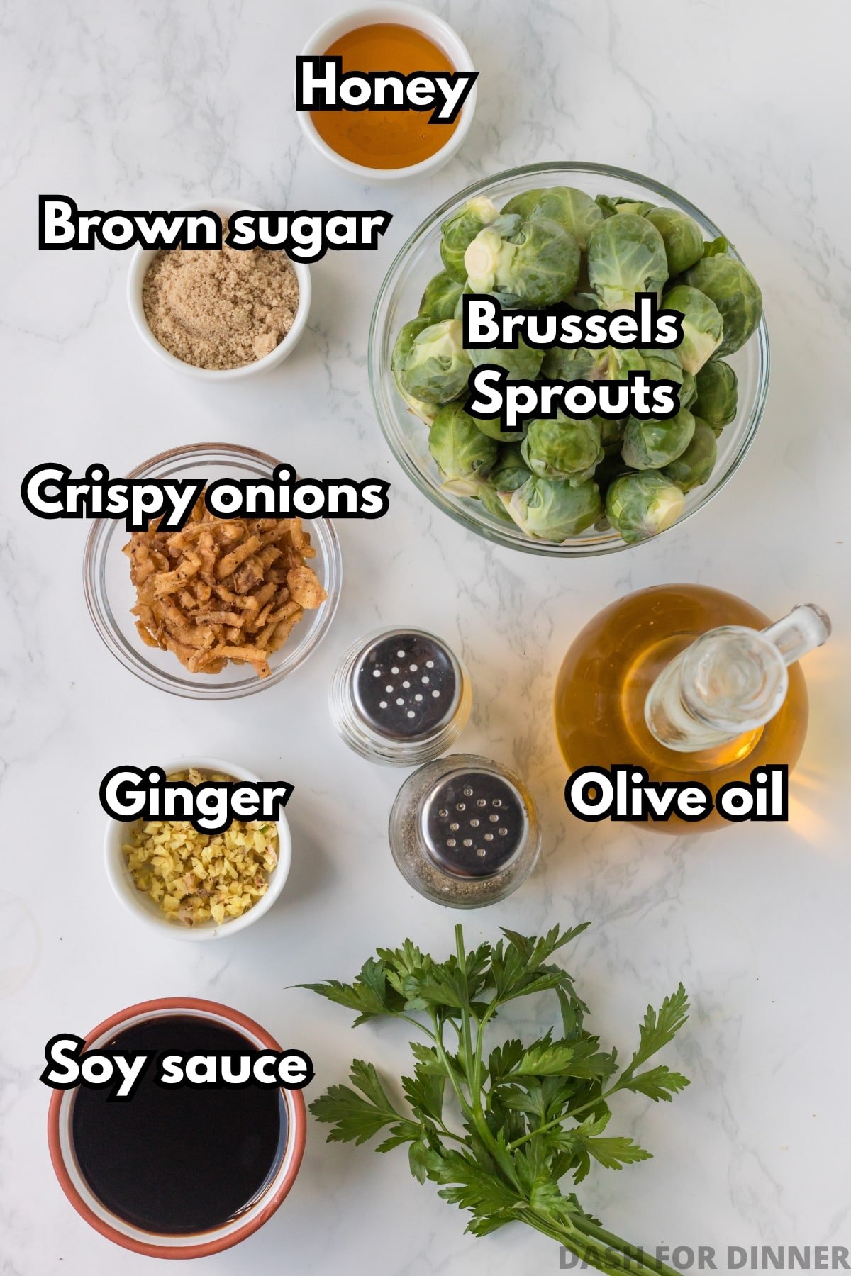 An overhead view of the ingredients needed to make Red Lobster's brussel sprouts: sprouts, soy sauce, ginger, olive oil, crispy onions, brown sugar, and honey.