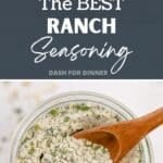 A small wooden spoon scooping dry ranch dressing mix from a small jar. The text overlay says: "The BEST Ranch Seasoning"