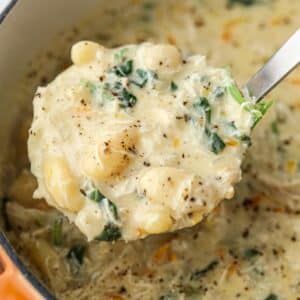 A soup ladle filled with a creamy chicken soup.