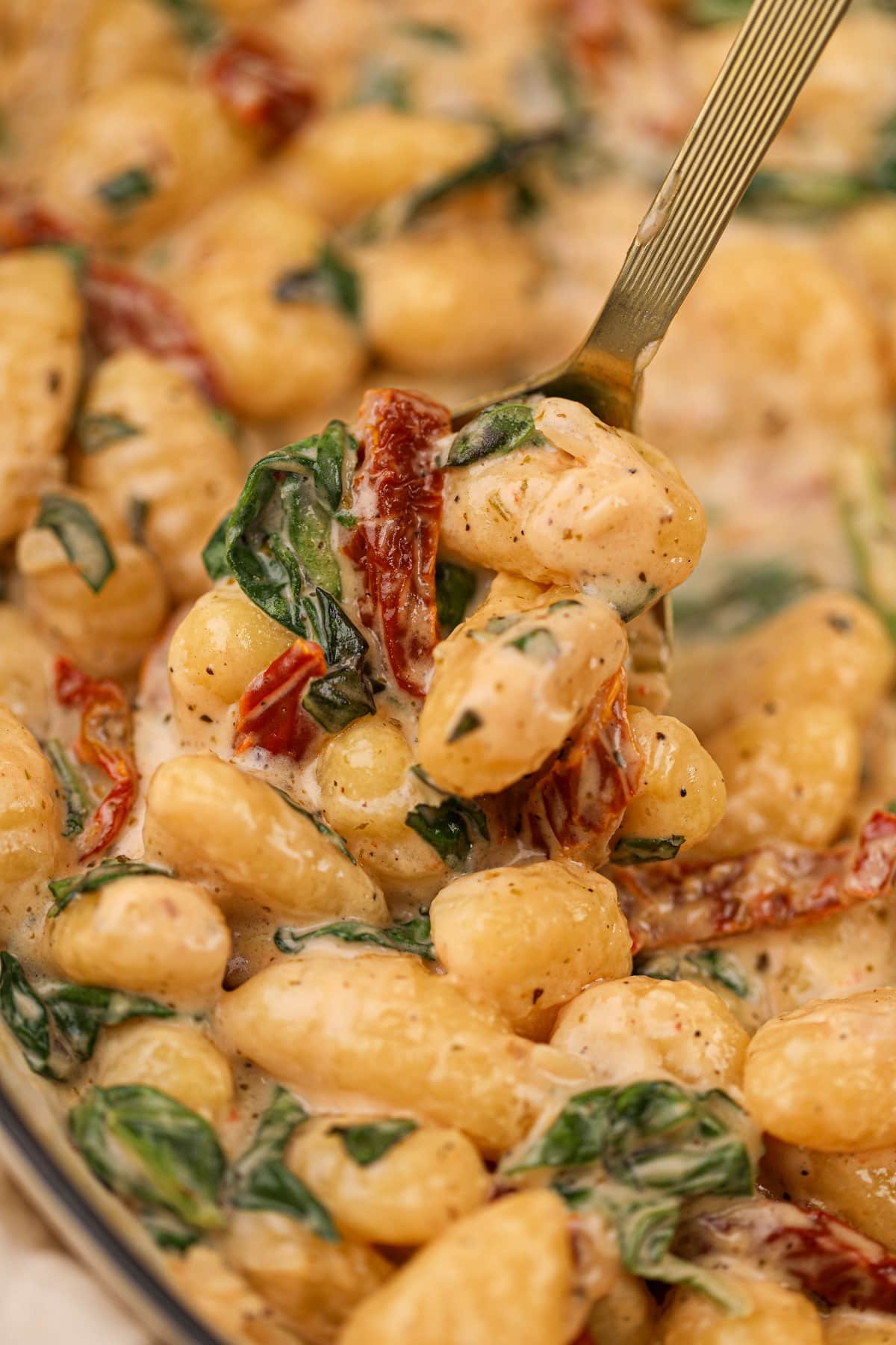 A close up of a spoon of gnocchi in a creamy sauce.