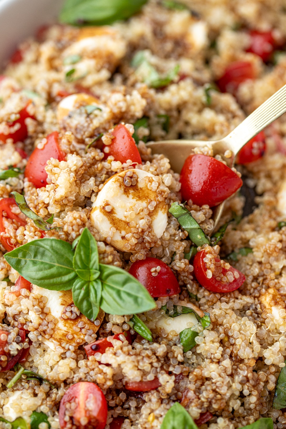 A spoonful of quinoa salad topped with fresh basil leaves.