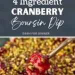 A layered dip featuring cranberry, boursin, and pistachios.