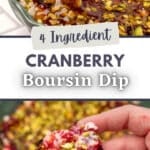 A cracker spread with a soft cheese, cranberry, and pistachio.