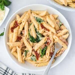 A bowl of penne pasta with a creamy sundried tomato sauce.
