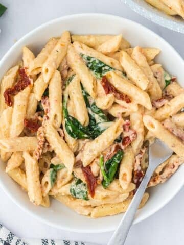 A bowl of penne pasta with a creamy sundried tomato sauce.