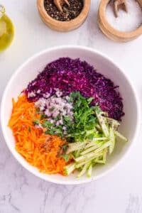 A white bowl with sections of red cabbage, shallot, carrots, apple, and parsley.