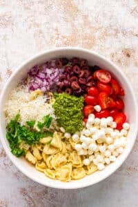 A bowl featuring compartments of ingredients including mozzarella, tomatoes, pesto, and red onion.