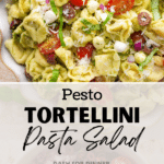 A bowl of cold tortellini salad with tomatoes, basil, and mozzarella.