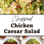 A salad topped with parmesan, toasted breadcrumbs, chicken, and bacon.