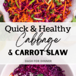 A bowl with sections of cabbage, apple, carrot, parsley, and shallot.